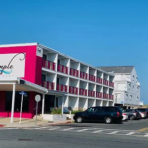 2* Hotel Simple Life